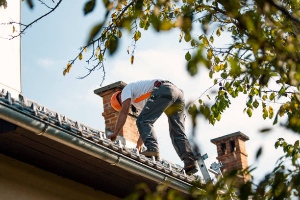 Best Cold Roofs  in Olivet, MI