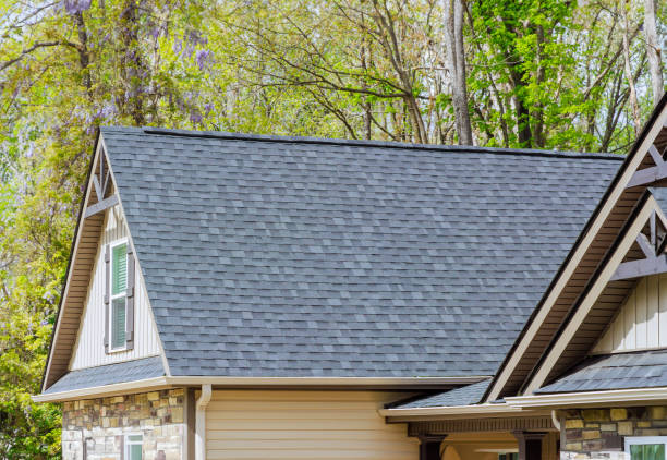 Best Rubber Roofing (EPDM, TPO)  in Olivet, MI