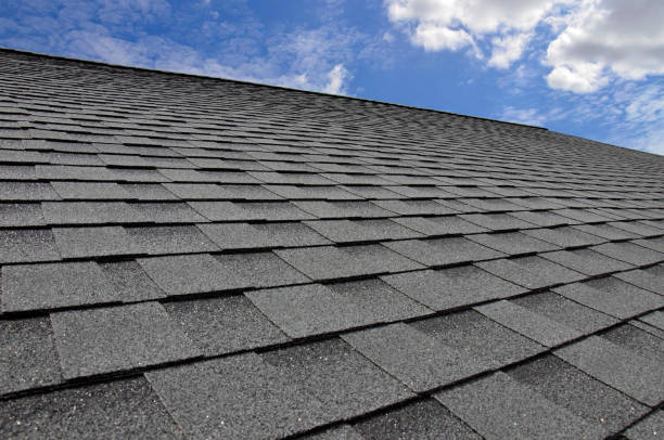 Best Asphalt Shingles Roofing  in Olivet, MI